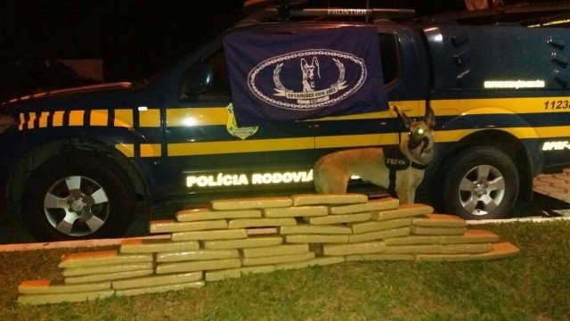 Polícia encontra drogas em ônibus e prende suspeito por tráfico na Dutra