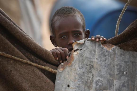 FAO pede US$  1 bilhão para  combater fome  em 26 países