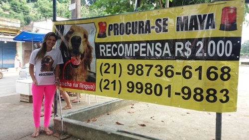 Cão desaparecido em Nova Iguaçu pode gerar recompensa de R$ 2 mil