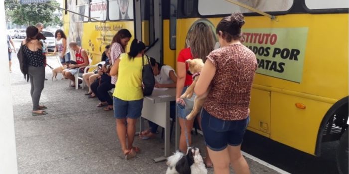 Vacinação e feira de adoção de  cães e gatos hoje em Caxias