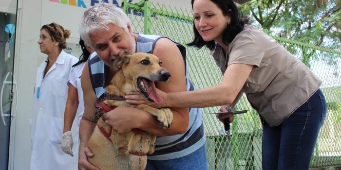 Campanha de Vacinação Antirrábica imuniza 53 mil cães e gatos em Nova Iguaçu