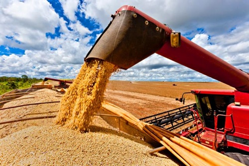 Conab estima que produção de grãos será de 237,3 milhões de toneladas