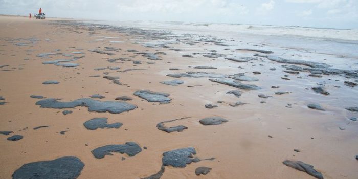 Ibama e Marinha dizem que ineditismo afeta contenção de óleo em praias