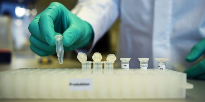Paraná quer realizar testes da fase 3 da vacina russa contra covid-19