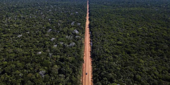 Capes divulga selecionados para programa de pesquisa na Amazônia Legal