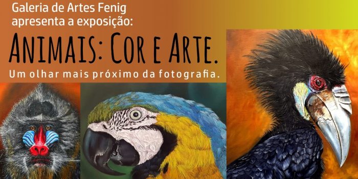 Fenig promove exposição e deslumbre de cores em Nova Iguaçu