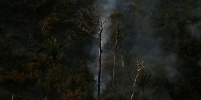 Savanização da Amazônia e calor podem ser fatais para saúde humana