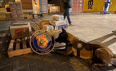 Polícia Federal apreende 5 toneladas de cocaína no porto do Rio