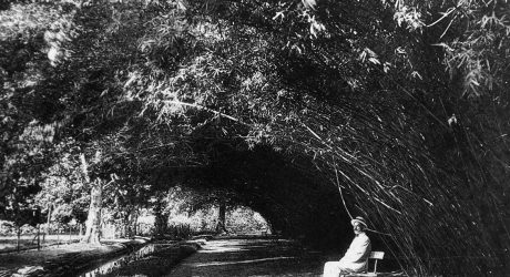 Jardim Botânico do Rio expõe imagens da missão belga de 1922 ao Brasil