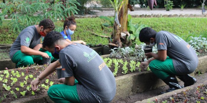 Escola Nacional do Jardim Botânico abre vagas para jovens no Rio