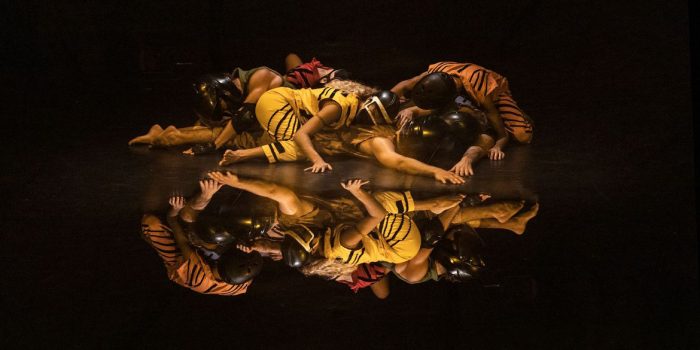 Capital carioca recebe vigésima edição do Dança em Trânsito