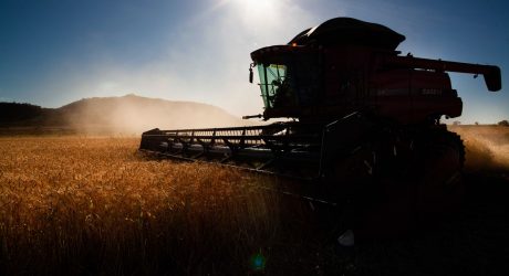 Condutores de máquinas agrícolas agora devem portar registro