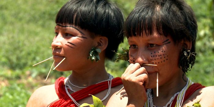 Os tortuosos caminhos do garimpo e seus efeitos na Terra Yanomami