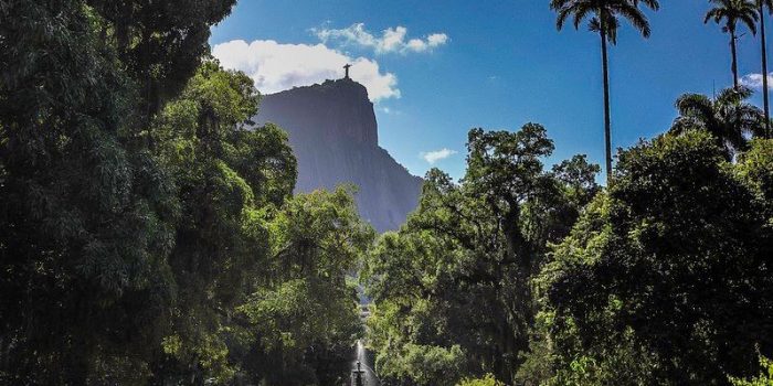 Jardim Botânico do Rio de Janeiro comemora 215 anos nesta terça
