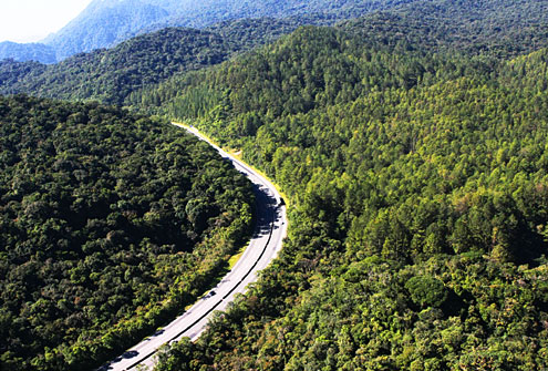 Governo lança primeira concessão para recuperação da Mata Atlântica