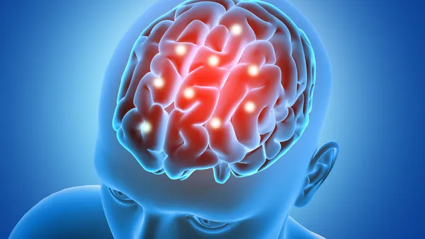 Estudo revela mecanismo cerebral capaz de “impedir” o cérebro de se distrair