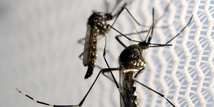 Cidade do Rio registra mais de 2 mil casos de dengue em 24 horas