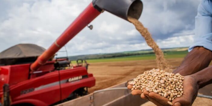 Produção de grãos deve atingir 312 milhões de toneladas