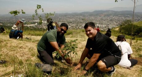 Prefeitura planta mais de 200 mudas de árvores na Serra do Vulcão