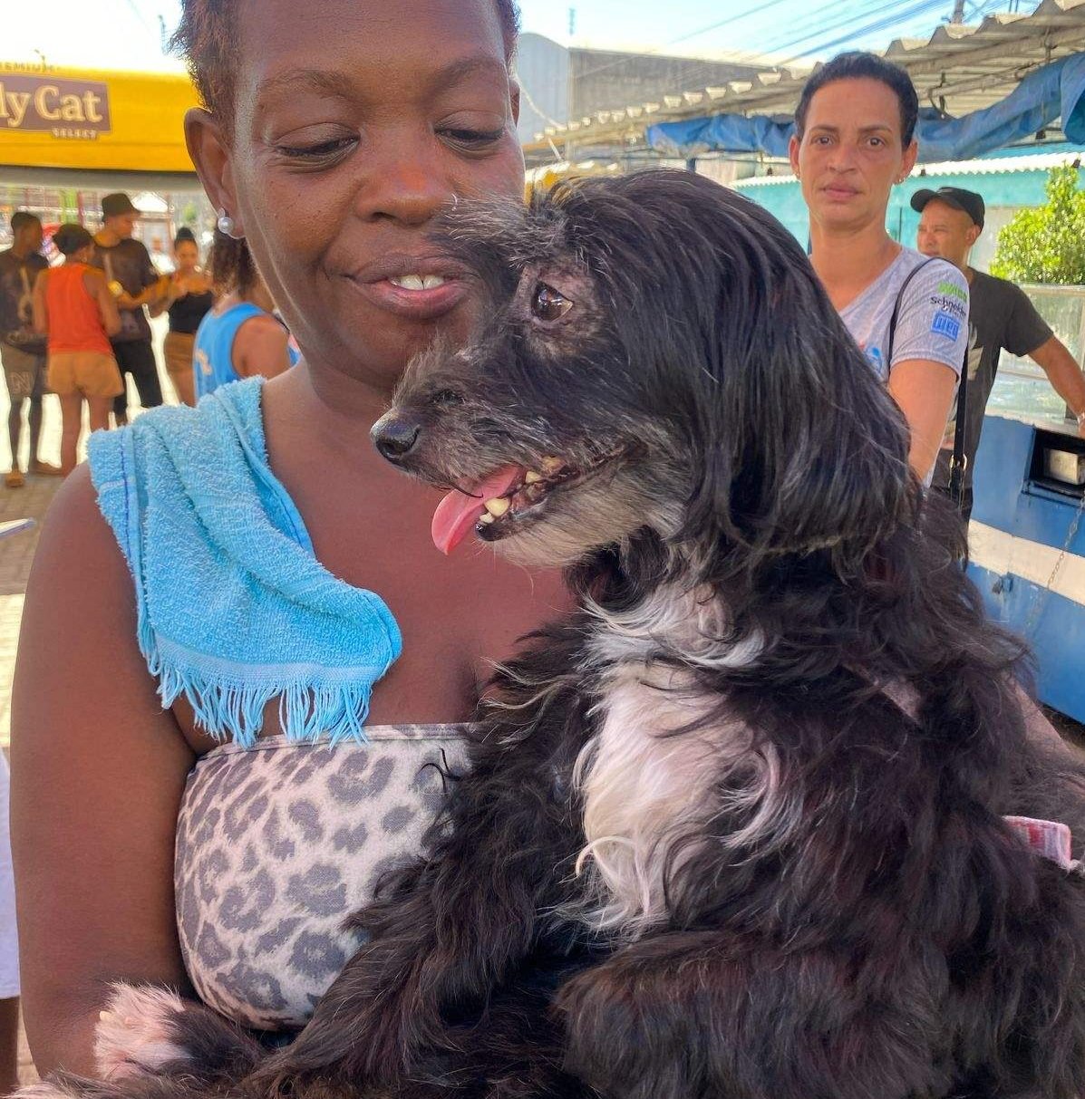 Belford Roxo: Castramóvel permanece no Wona até dia 27 de fevereiro ...