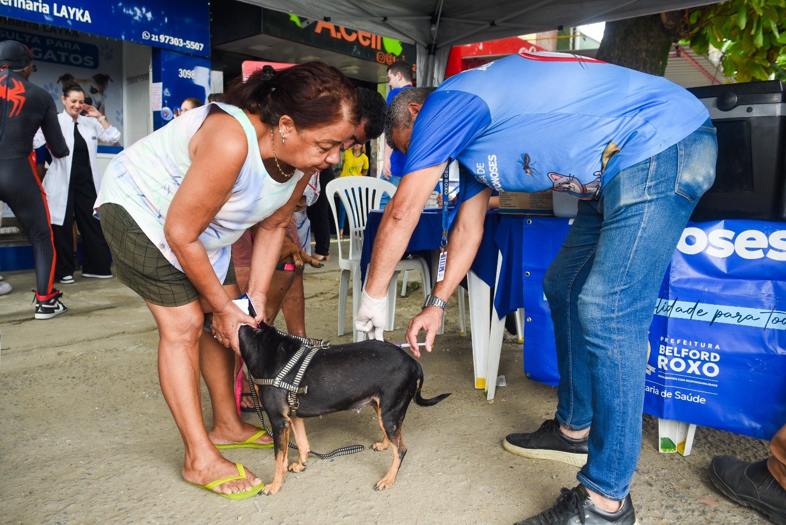 Belford Roxo vacina mais de 400 animais em Santa Amélia - Jornal de Hoje