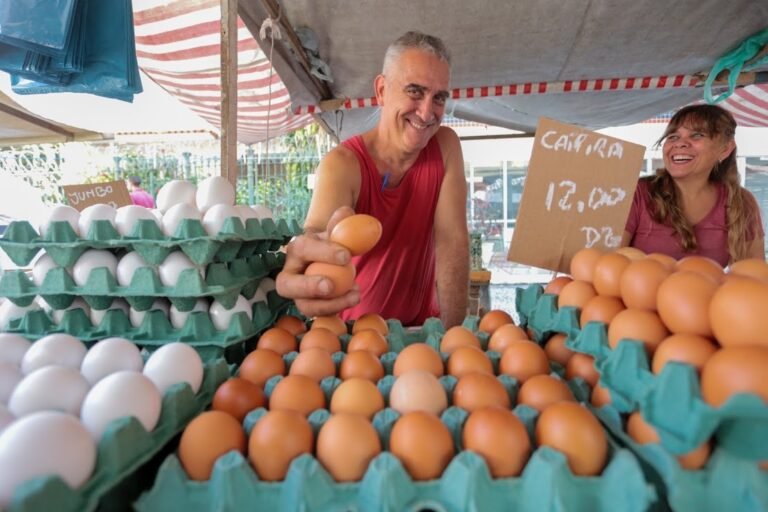 Frutas da estação e preços mais baratos: Dia do Feirante, Alerj destaca Leis de incentivo às feiras