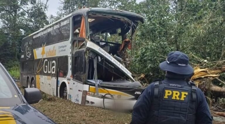 Petrópolis: ônibus não podia fazer transporte interestadual, diz ANTT